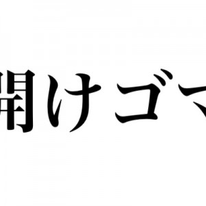 「開けゴマ」って日本人が適当に翻訳を考えただろ、元々（笑）