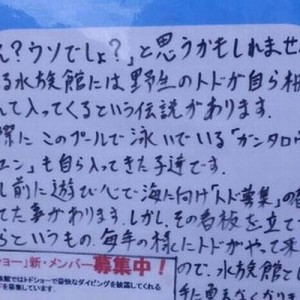 【また伝説が増えた…】「おたる水族館」の統一感ある『伝説』に興味をそそられる１４枚